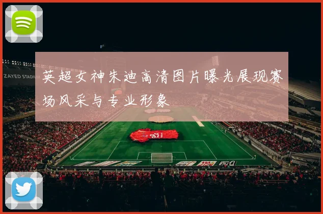 英超女神朱迪高清图片曝光展现赛场风采与专业形象