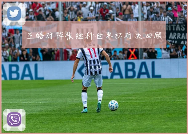 王皓对阵张继科世界杯对决回顾