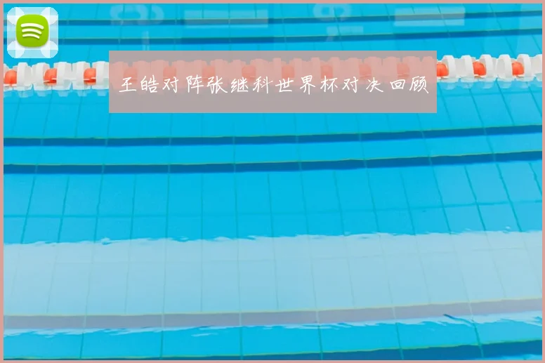王皓对阵张继科世界杯对决回顾