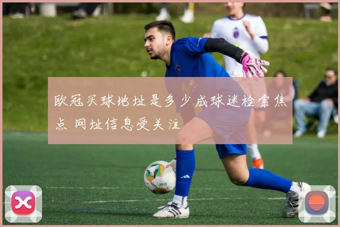 欧冠买球地址是多少成球迷检索焦点 网址信息受关注